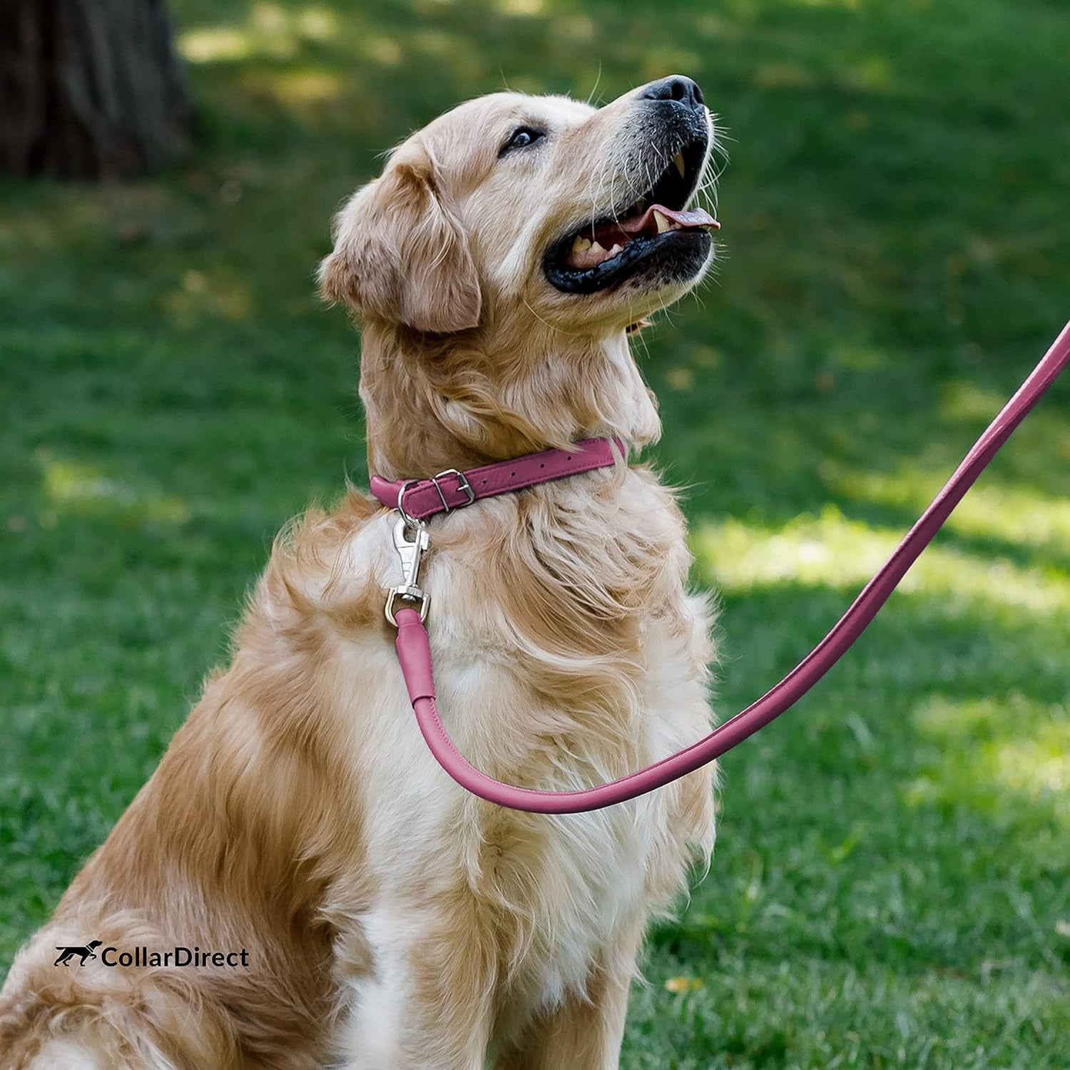 Rolled Leather Dog Collar, Soft Padded round Puppy Collar, Handmade Genuine Leather Collar for Dog Small Large Cat Collars Black Pink Red Purple Blue (Total Length 9", Pink)