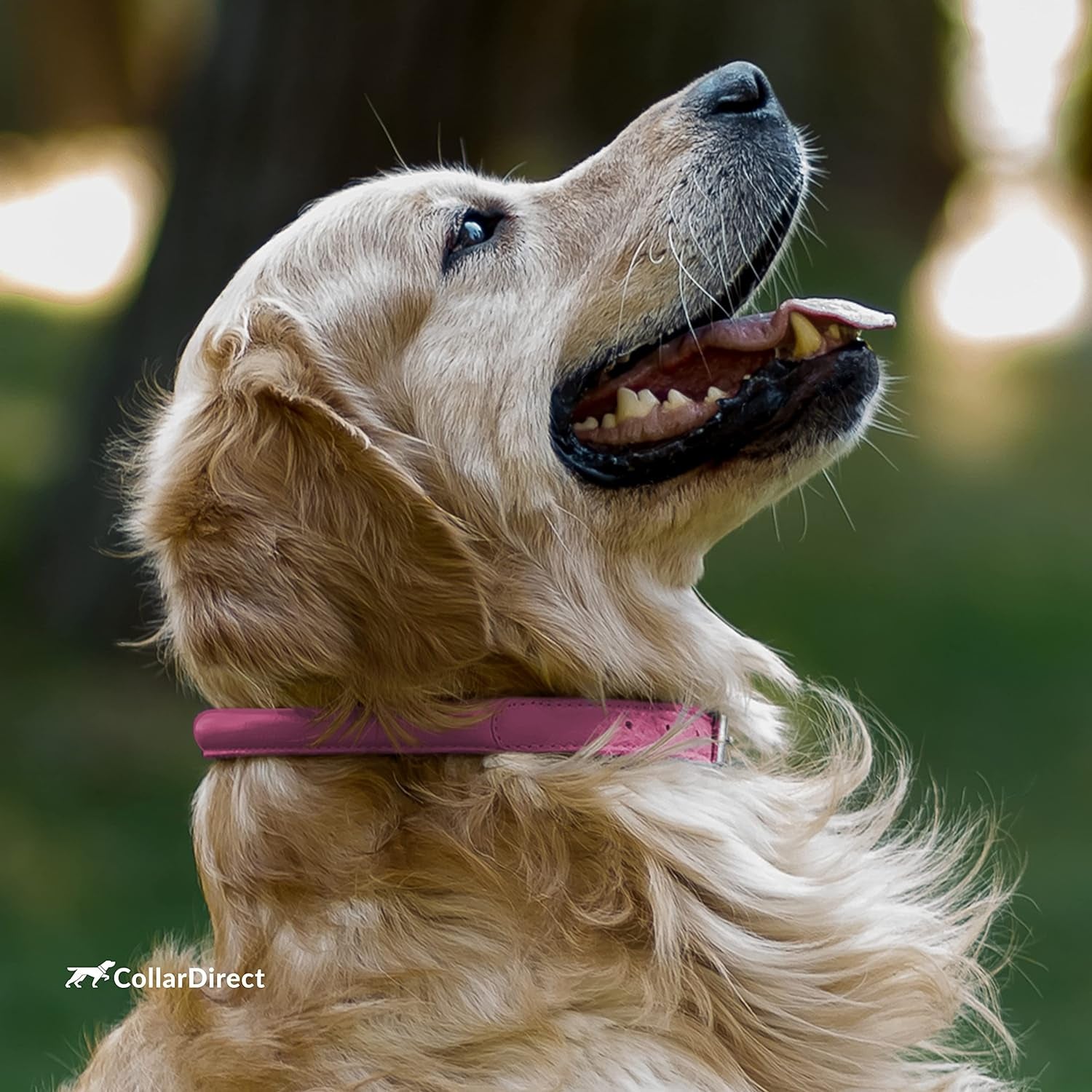 Rolled Leather Dog Collar, Soft Padded round Puppy Collar, Handmade Genuine Leather Collar for Dog Small Large Cat Collars Black Pink Red Purple Blue (Total Length 9", Pink)